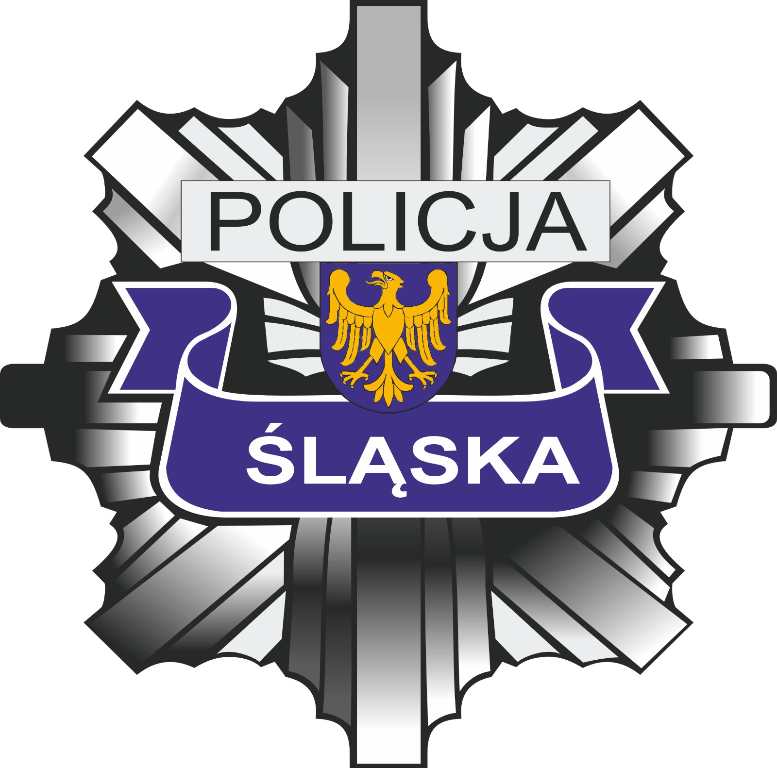 Policja Śląsk
